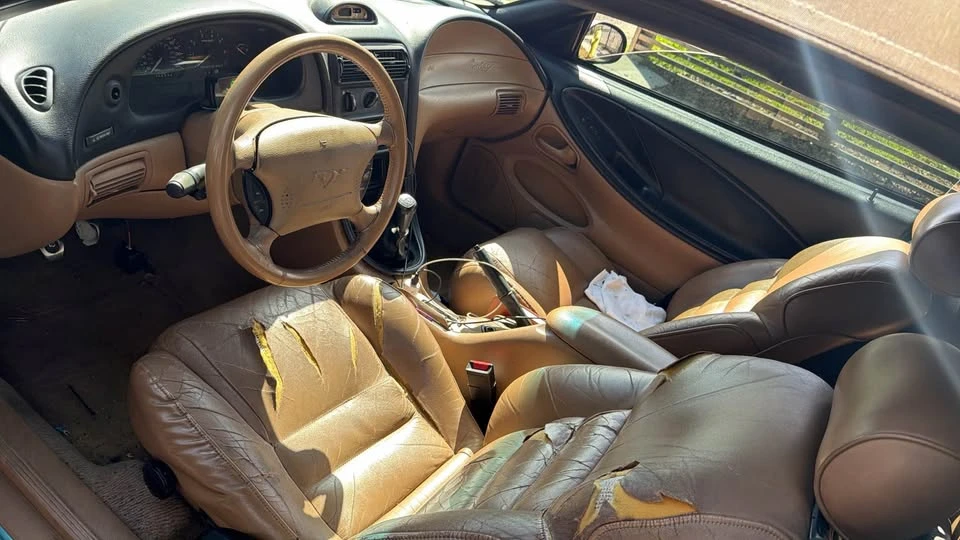 1995 Ford SN95 Mustang - Image 5 of 9