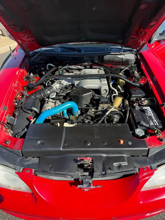 1995 Ford SN95 Mustang - Image 4 of 12