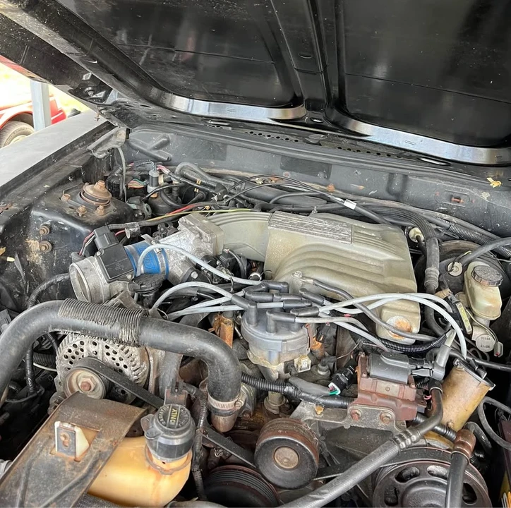 1995 Ford SN95 Mustang - Image 9 of 9