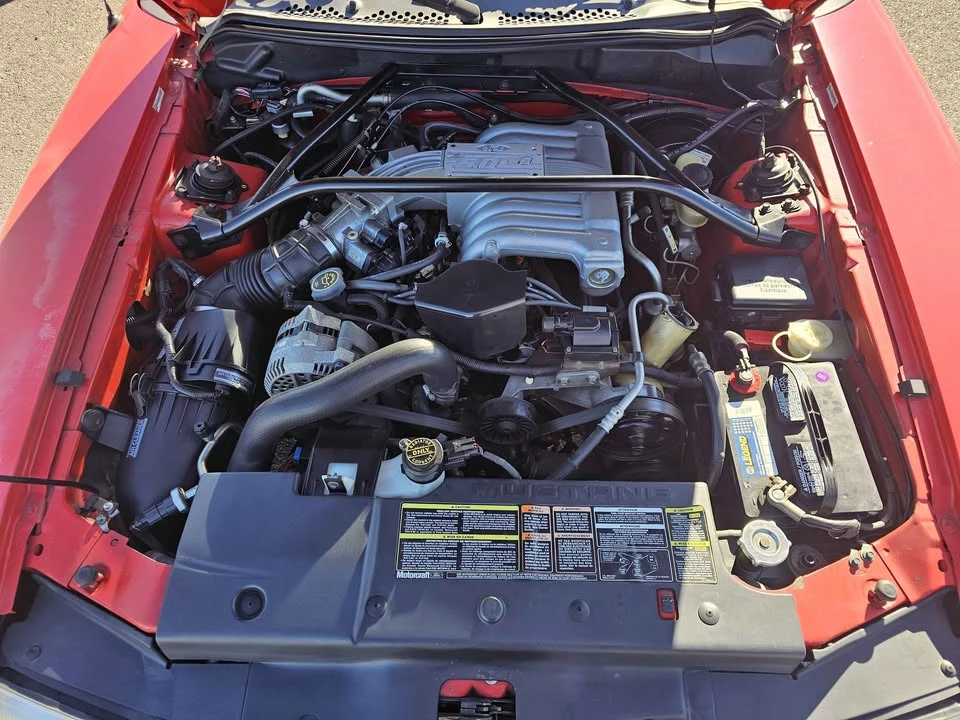 1995 Ford SN95 Mustang - Image 13 of 18