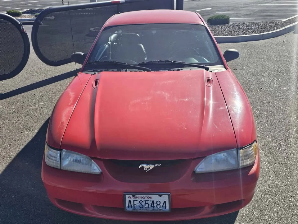 1995 Ford SN95 Mustang - Image 8 of 18