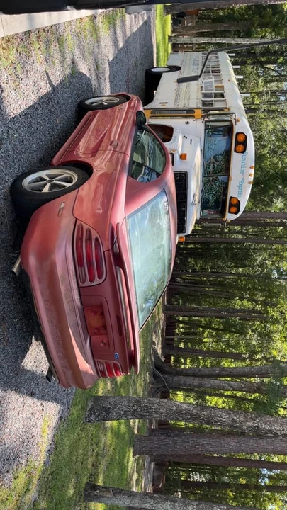1995 Ford SN95 Mustang - Image 3 of 3