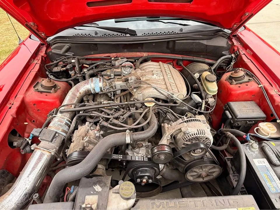 1995 Ford SN95 Mustang - Image 18 of 19