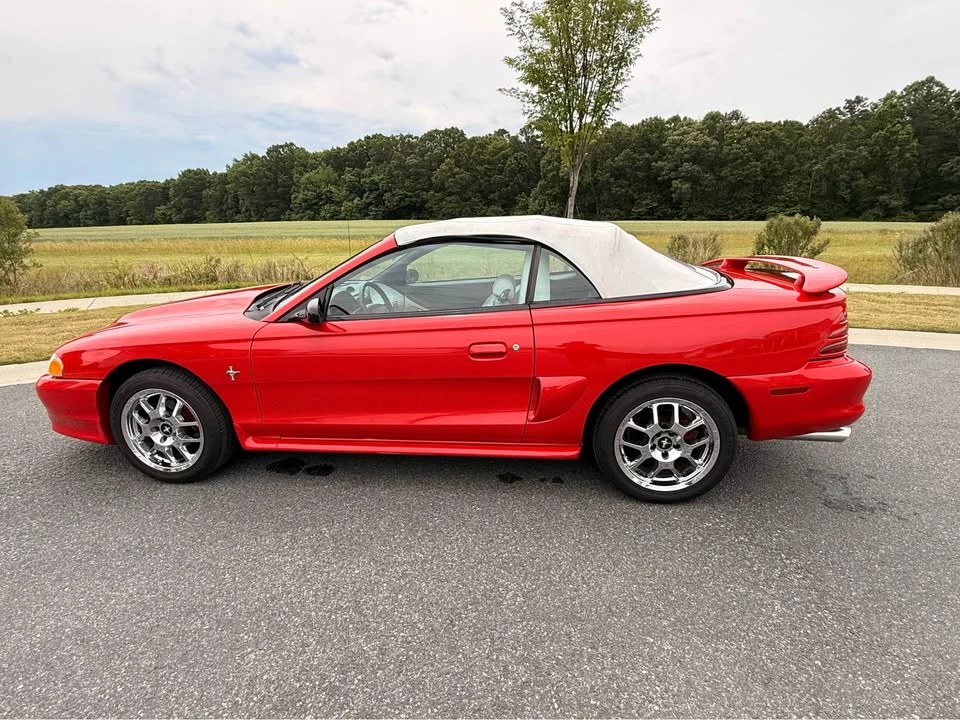 1995 Ford SN95 Mustang - Image 11 of 19