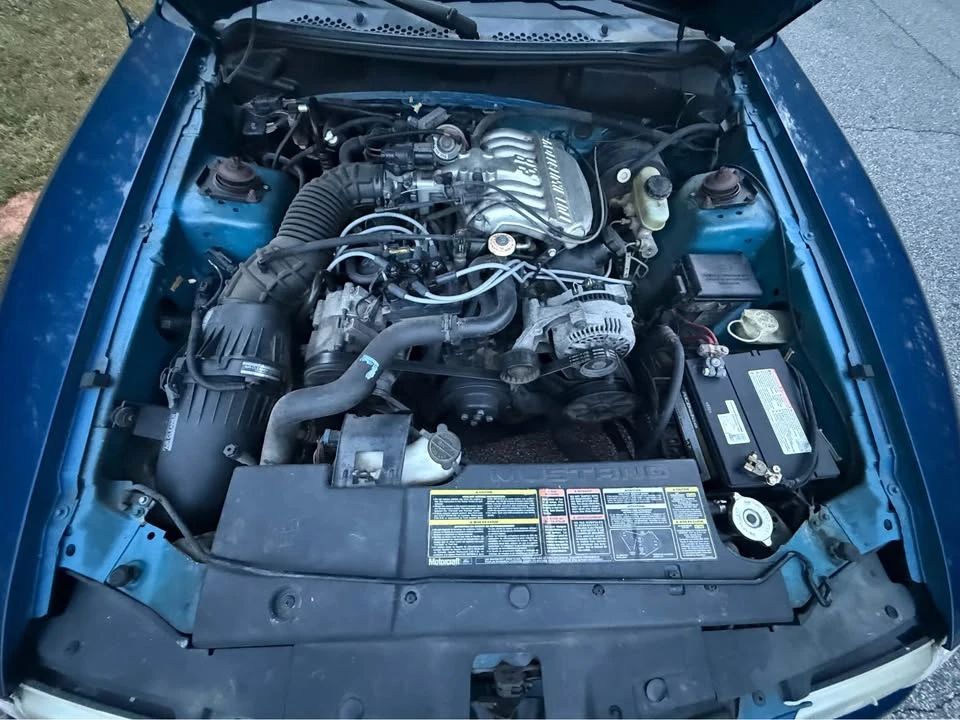 1995 Ford SN95 Mustang - Image 11 of 11