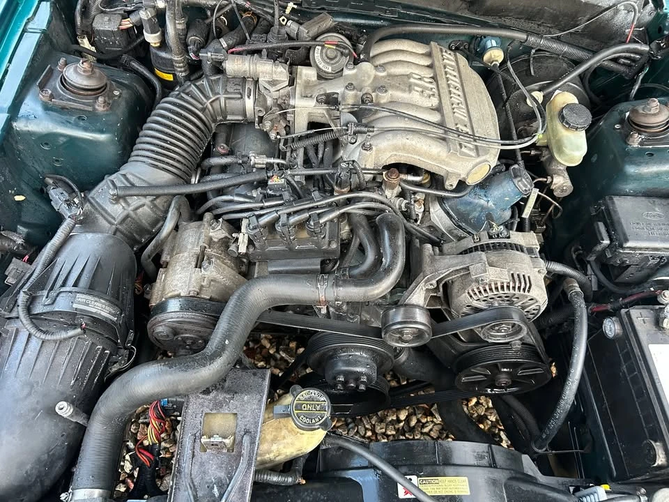 1995 Ford SN95 Mustang - Image 7 of 15