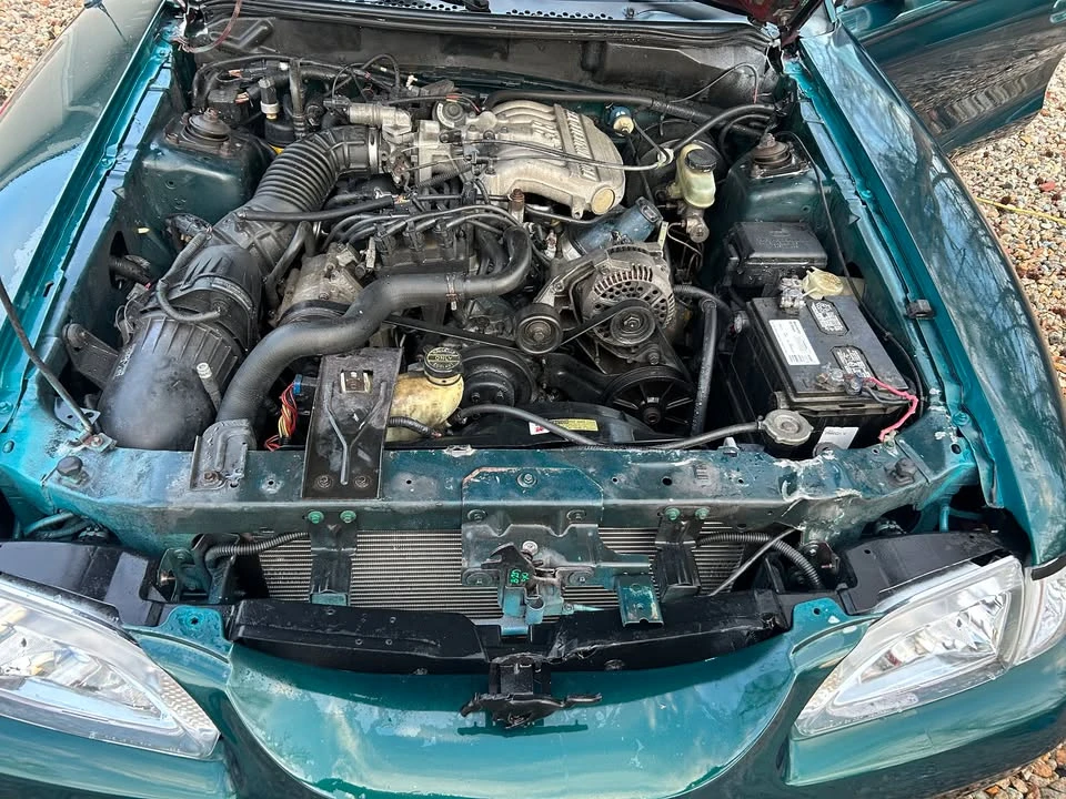 1995 Ford SN95 Mustang - Image 6 of 15