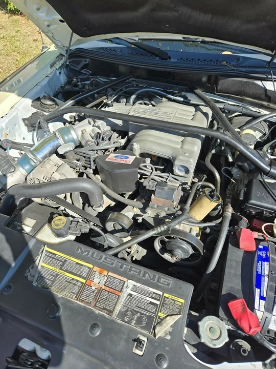 1995 Ford SN95 Mustang - Image 3 of 11
