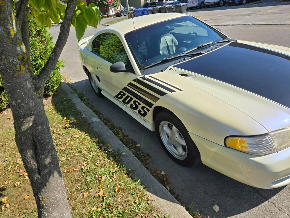 1995 Ford SN95 Mustang - Image 6 of 11