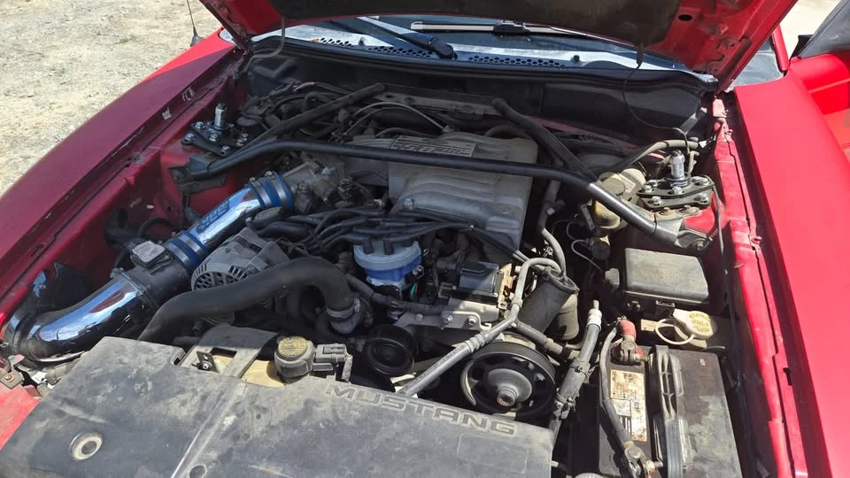 1995 Ford SN95 Mustang - Image 8 of 10