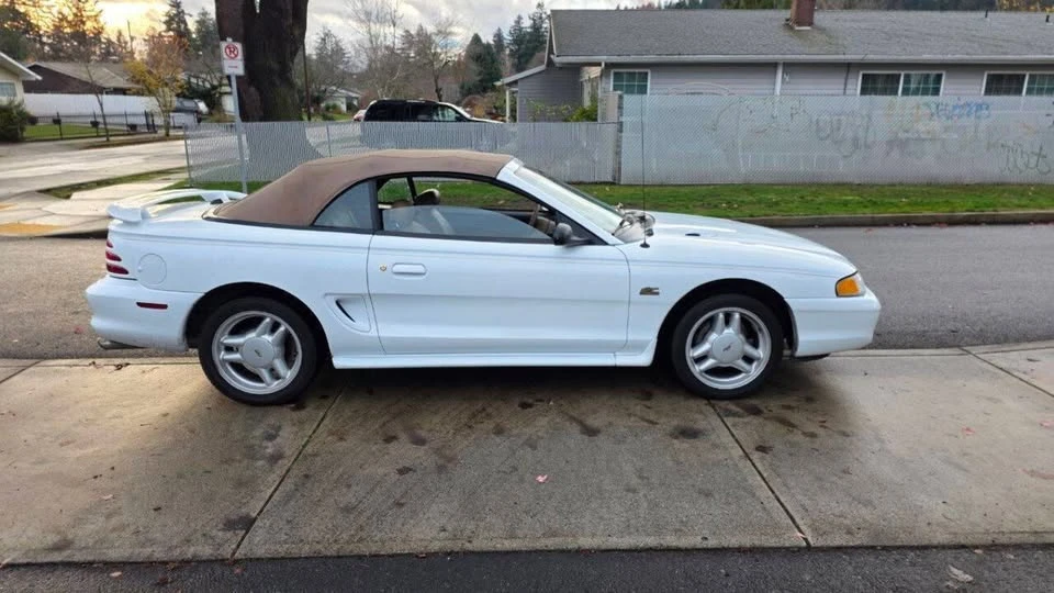 1995 Ford SN95 Mustang - Image 4 of 14