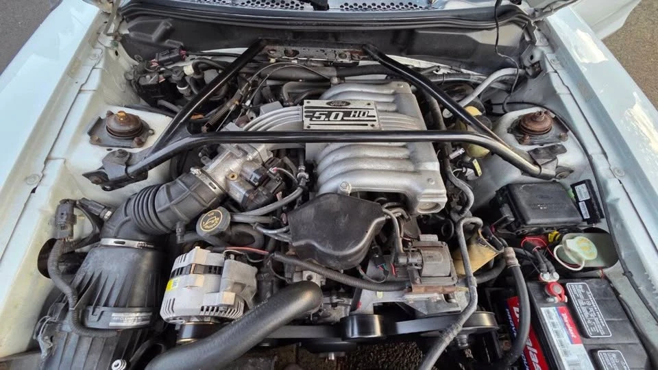 1995 Ford SN95 Mustang - Image 13 of 14