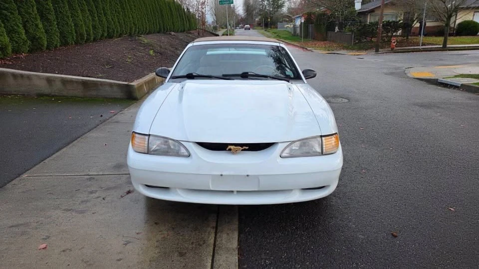 1995 Ford SN95 Mustang - Image 2 of 14