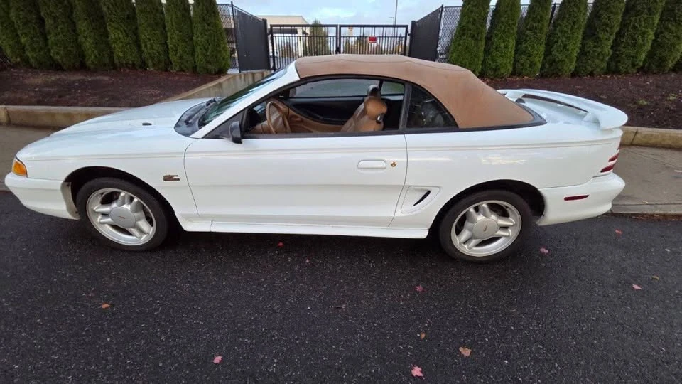 1995 Ford SN95 Mustang - Image 4 of 13