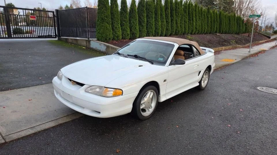 1995 Ford SN95 Mustang - Image 3 of 13