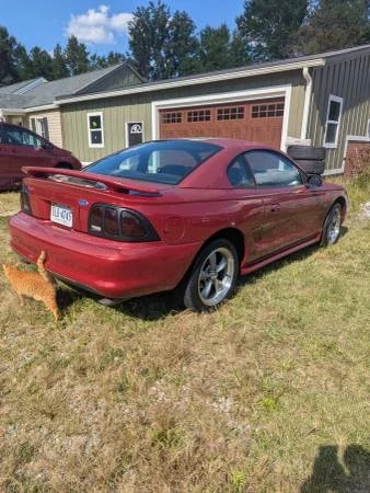 1995 Ford SN95 Mustang - Image 7 of 11