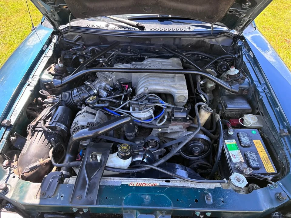 1995 Ford SN95 Mustang - Image 7 of 10