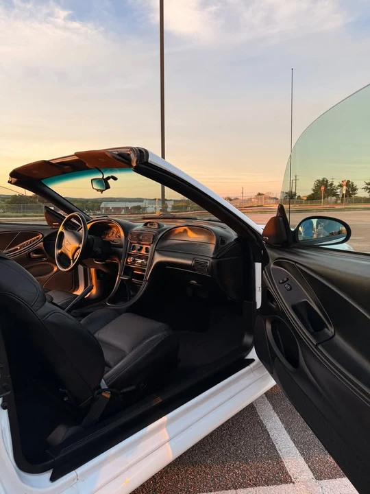 1995 Ford SN95 Mustang - Image 11 of 14