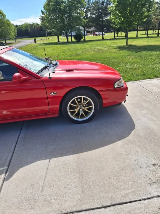 1995 Ford SN95 Mustang - Image 2 of 8