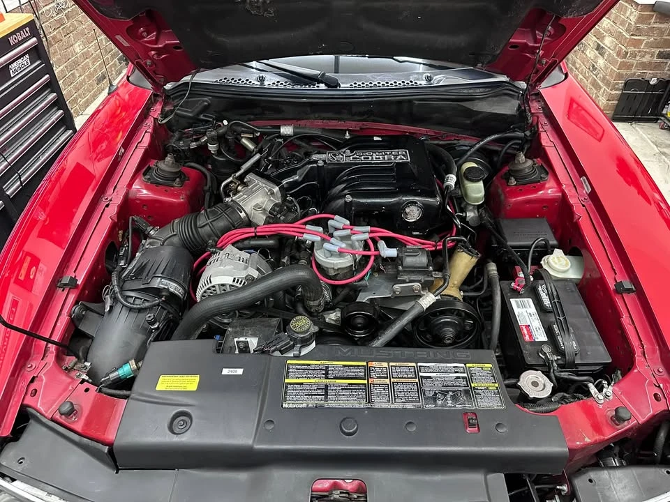 1995 Ford SN95 Mustang Cobra - Image 16 of 18