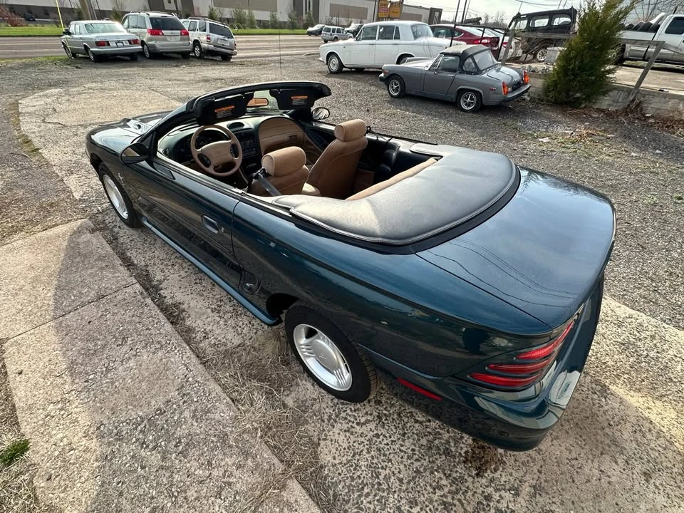 1995 Ford SN95 Mustang - Image 14 of 20