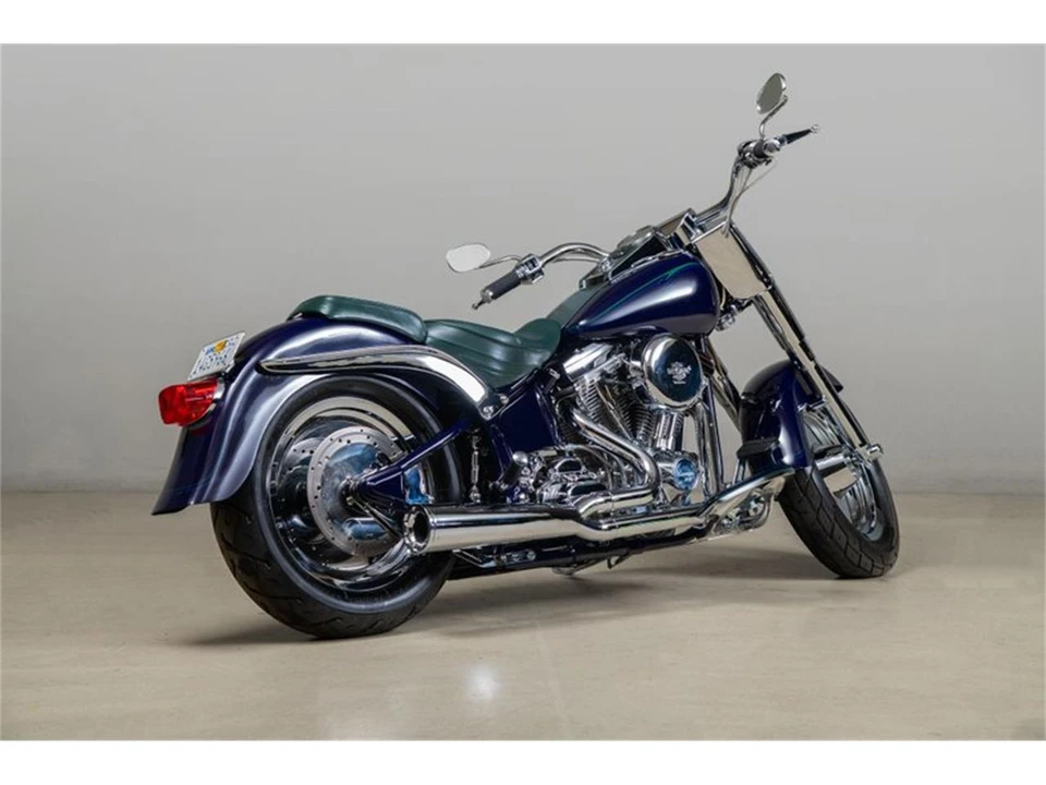 1995 Harley-Davidson Softail - Image 9 of 31