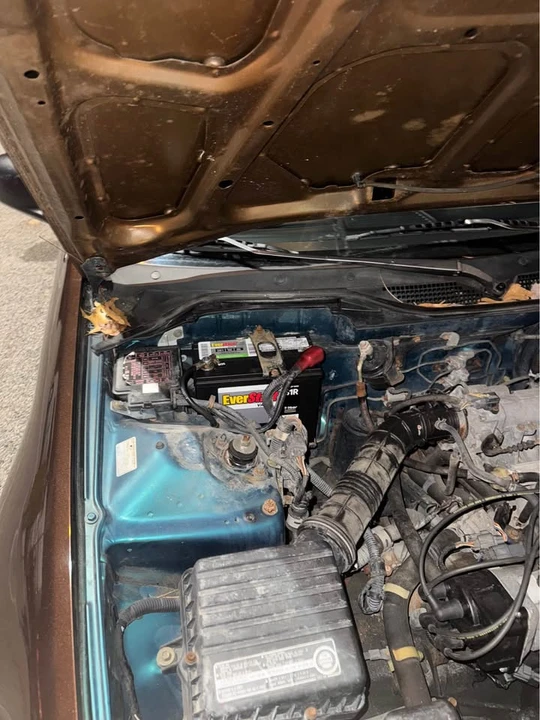 1995 Honda EG Civic - Image 10 of 11