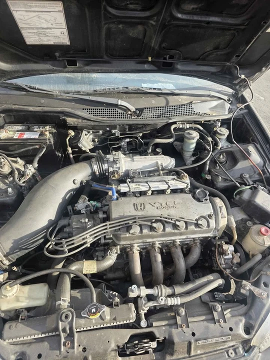 1995 Honda EG Civic - Image 6 of 9