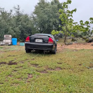 1995 Honda Prelude