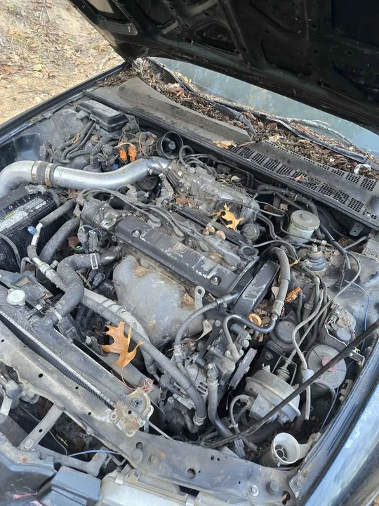 1995 Honda Prelude 4th Gen - Image 4 of 6