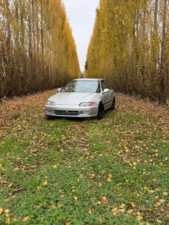 1995 Honda EG Civic - Image 2 of 2