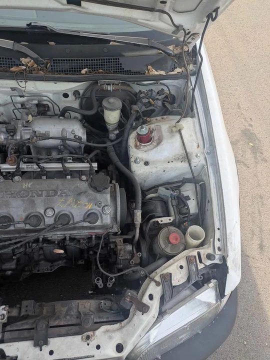 1995 Honda EG Civic - Image 7 of 8