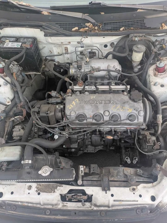 1995 Honda EG Civic - Image 6 of 8