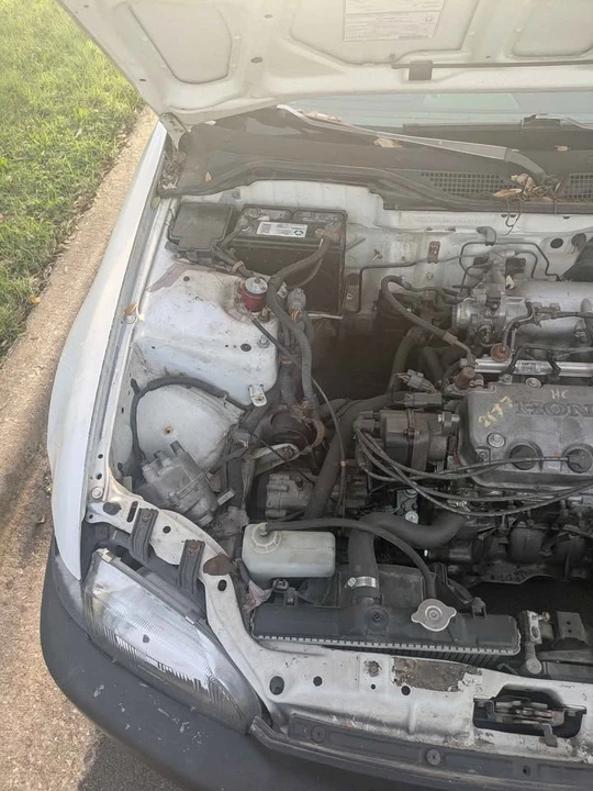 1995 Honda EG Civic - Image 8 of 8