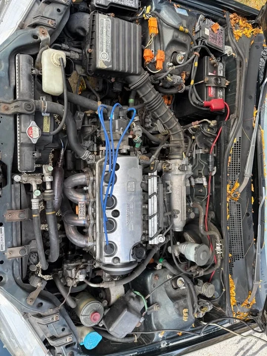 1995 Honda EG Civic - Image 4 of 8