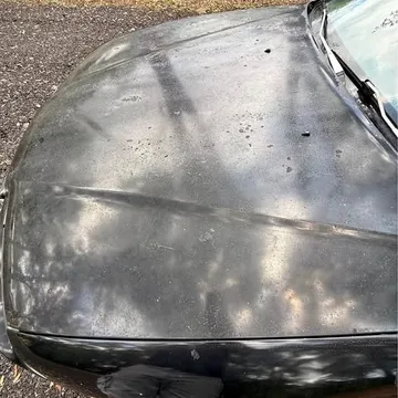 1995 Honda Prelude