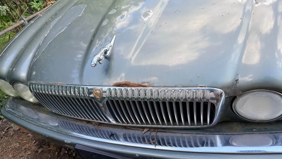 1995 Jaguar X300 XJ - Image 14 of 16