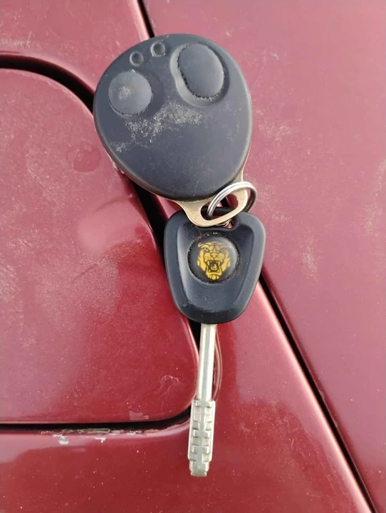 1995 Jaguar X300 XJ - Image 12 of 13
