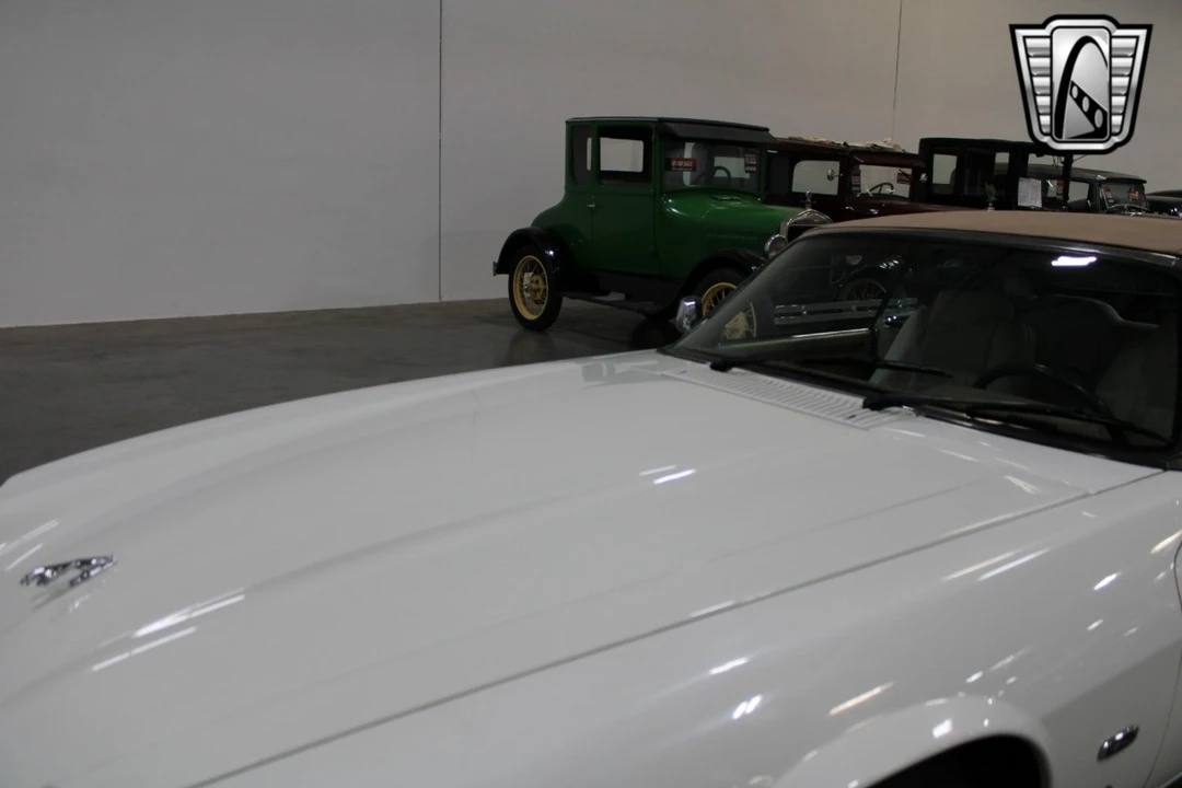 1995 Jaguar XJS - Image 12 of 12