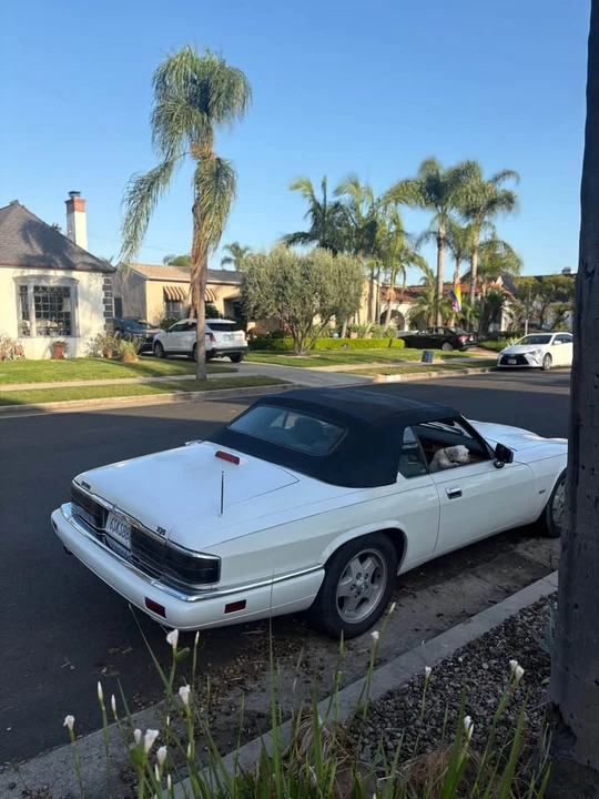 1995 Jaguar XJS Convertible - Image 4 of 19