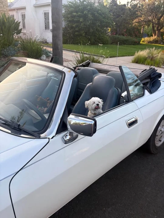 1995 Jaguar XJS Convertible - Image 11 of 20
