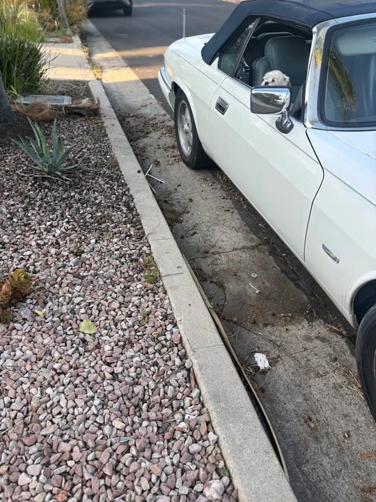 1995 Jaguar XJS Convertible - Image 3 of 20