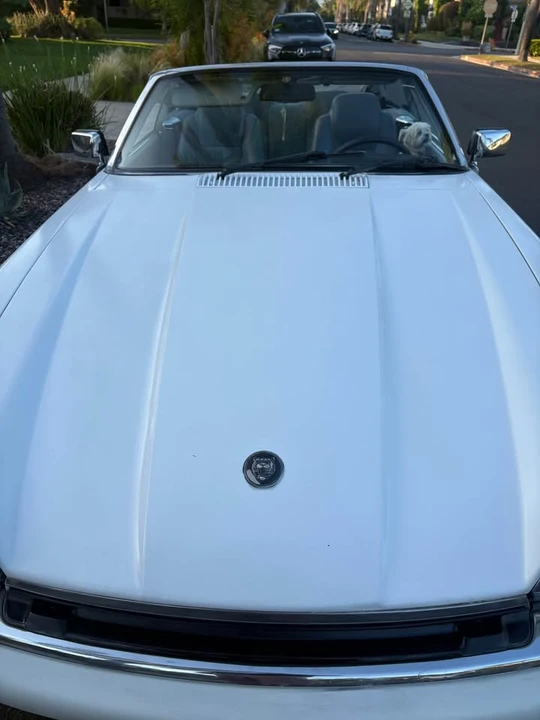 1995 Jaguar XJS Convertible - Image 2 of 16