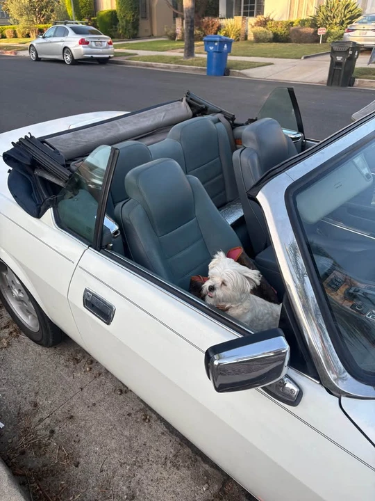 1995 Jaguar XJS Convertible - Image 15 of 16