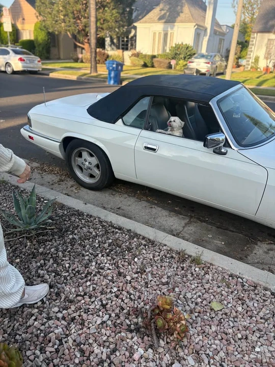 1995 Jaguar XJS Convertible - Image 4 of 10