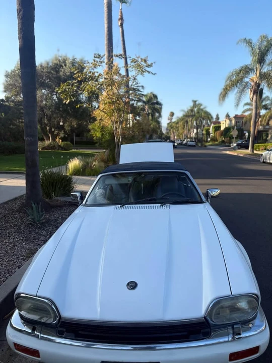 1995 Jaguar XJS Convertible - Image 12 of 19