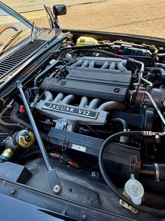1995 Jaguar XJS - Image 14 of 16