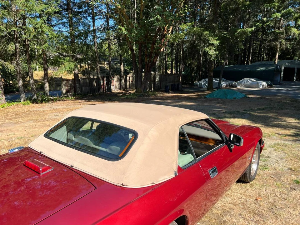 1995 Jaguar XJS Convertible - Image 6 of 14