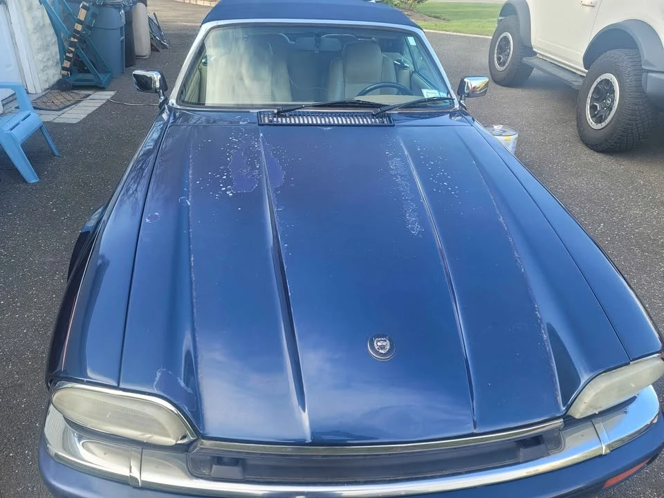 1995 Jaguar XJS - Image 13 of 14