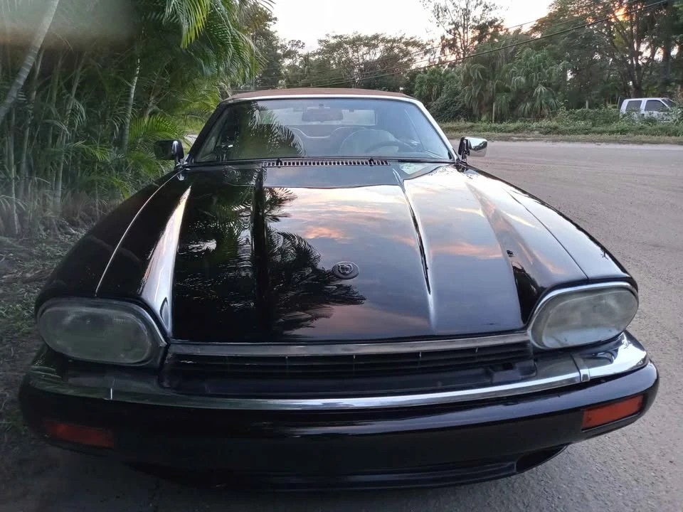 1995 Jaguar XJS - Image 11 of 20